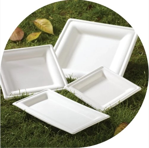 Bagasse Rectangle Plates - 125x Per Pack