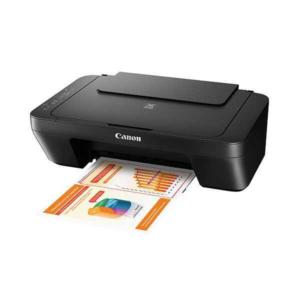 Canon Pixma Mg2550S Printer